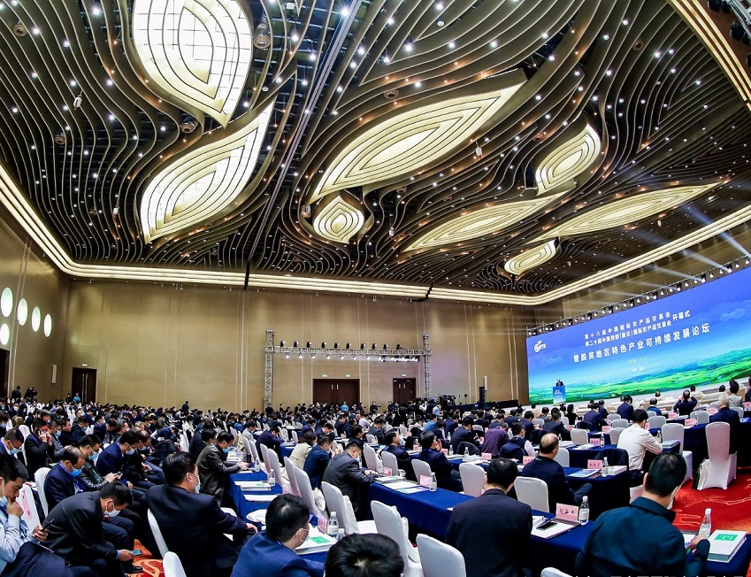 天津农交会现场图片4