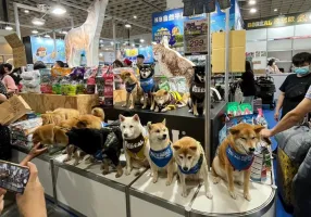 2026台湾宠物展展商名录+会刊
