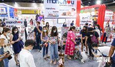 泰国宠物展2025展位图与展位价格