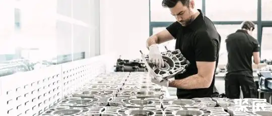 Schaeffler Technologies AG & Co. KG