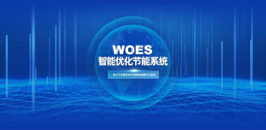 万洲电气股份有限公司