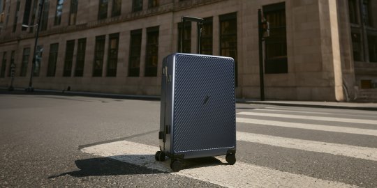 广东爱华仕箱包集团有限公司