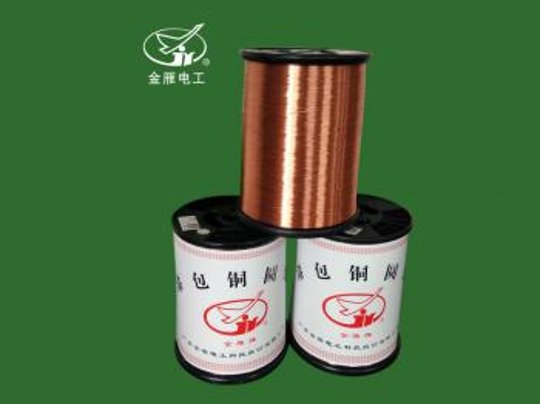 广东金雁电工科技股份有限公司