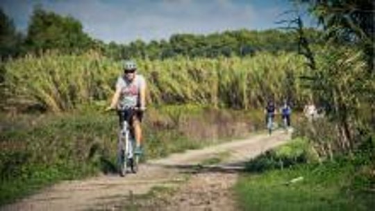 Salento Bici Tour