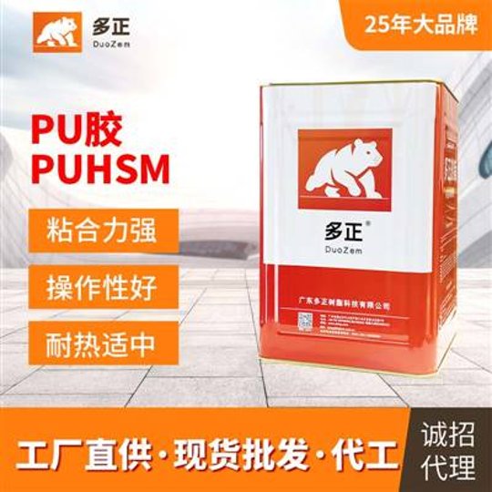 广东多正树脂科技有限公司