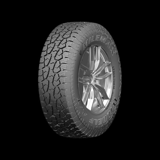 Exmile Special Tyre Co., Ltd.