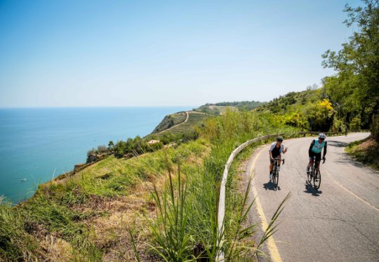 Dory Bike Hotel
