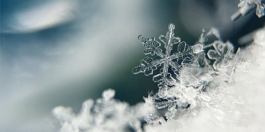 冰轮环境技术股份有限公司
