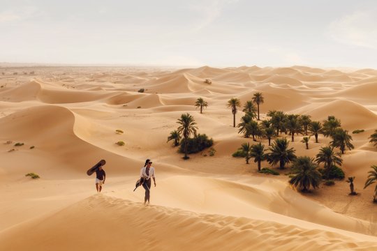 Department of Culture and Tourism - Abu Dhabi