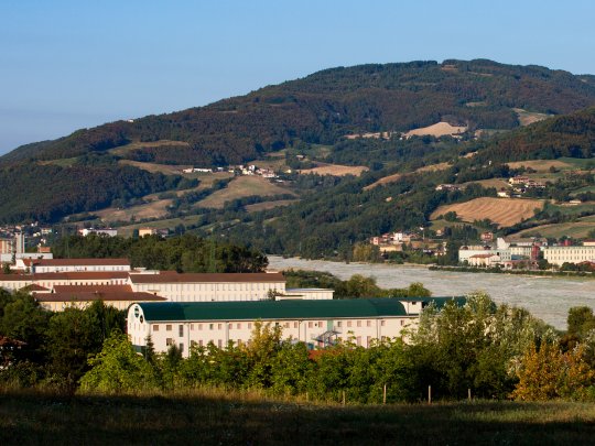 Consorzio del Prosciutto di Parma