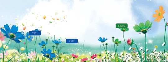 双乐颜料股份有限公司