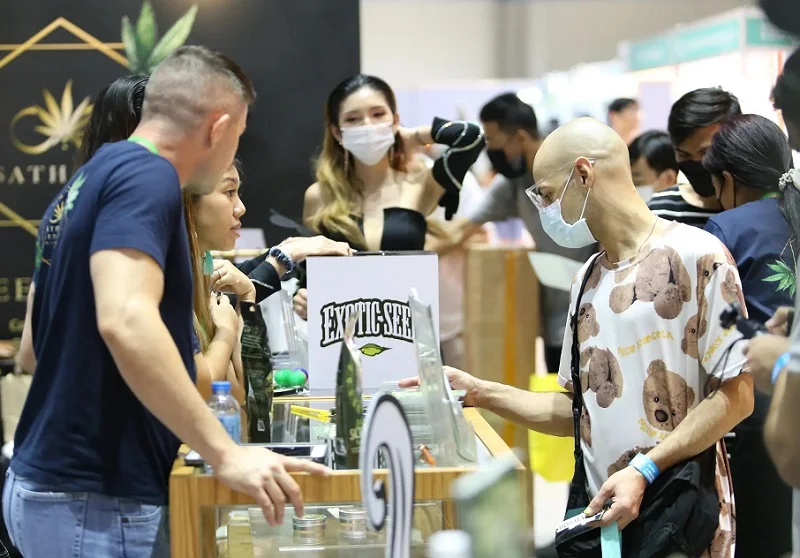 泰国曼谷大麻展、亚洲大麻展2024时间地点、门票购买、购票入口