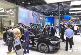 石家庄车展现场图片4