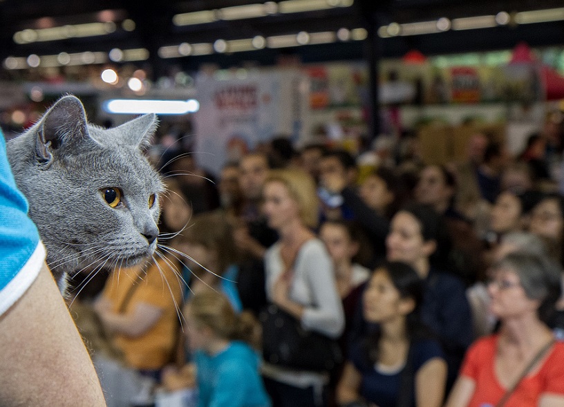 法国宠物展现场图片7