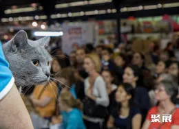 法国宠物展现场图片7