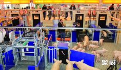 2026德国畜牧展会刊展商名录