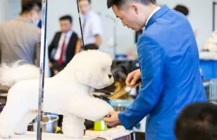 2025鄭州寵物展展商名錄+會(huì)刊