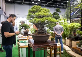 2025年意大利花卉园艺展门票哪里买，购买途径？