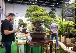 意大利花卉园艺展现场图片5