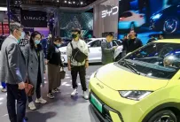 2025年青岛车展门票价格,如何购买?