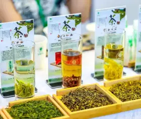 2026年深圳茶博会(TEAEXPO)门票如何申请？多少钱？