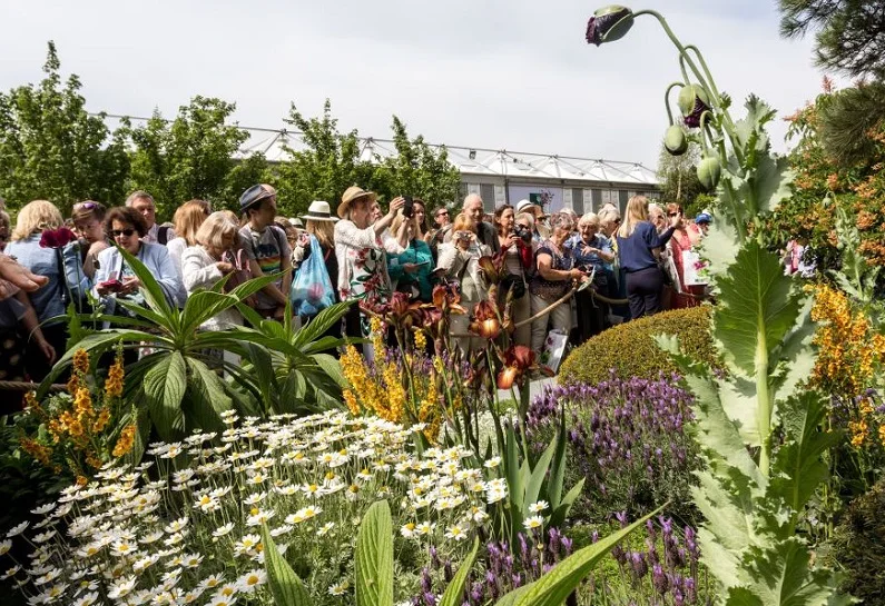 2025英国花卉展展品范围有哪些？