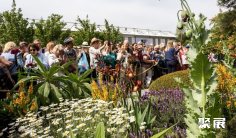 2025英国花卉展展品范围有哪些?