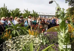 英国花卉展现场图片9