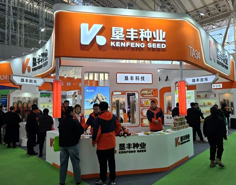 2026年哈尔滨农博会(HSIE)门票购买途径？怎么购票？