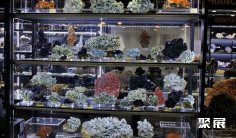 德国宝石展2025参展攻略(时间地点+门票价格)