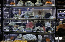 展会现场(现场盛况)8