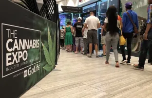 南非大麻展2025时间表及地点