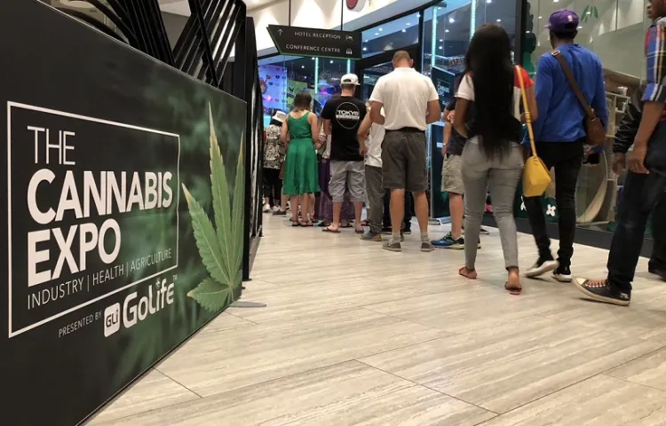 南非约翰内斯堡大麻展览会