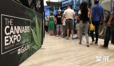 2025年南非大麻展门票价格,如何购买?