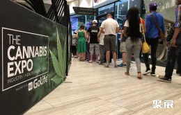约翰内斯堡大麻展展会现场(现场盛况)2