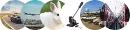 头像 头像
