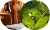 头像 头像