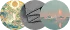 头像 头像