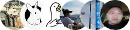 头像 头像