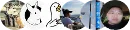 头像 头像