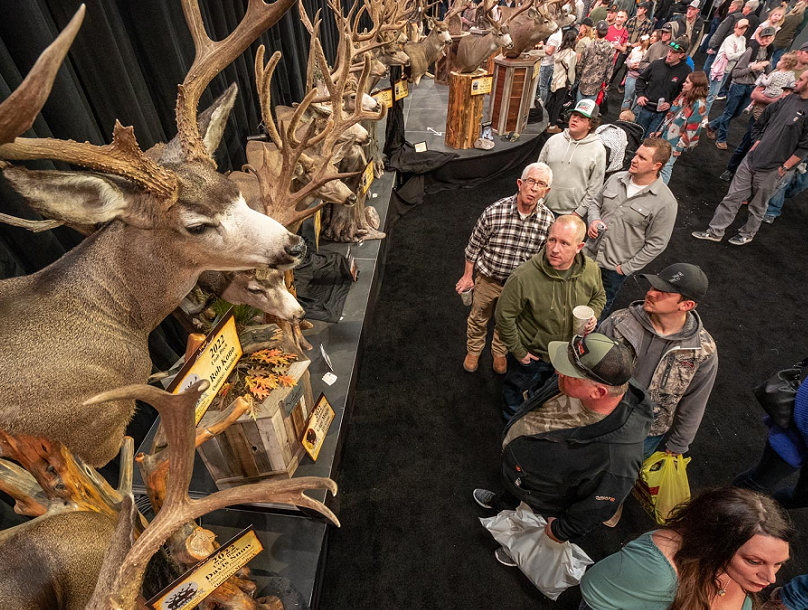 澳大利亚户外展2025展位图与展位申请