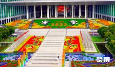 上海进博会门票普通观众预约折扣优惠怎么获取