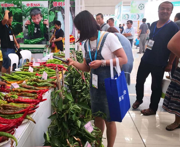 昌吉农业展展会现场(现场盛况)4