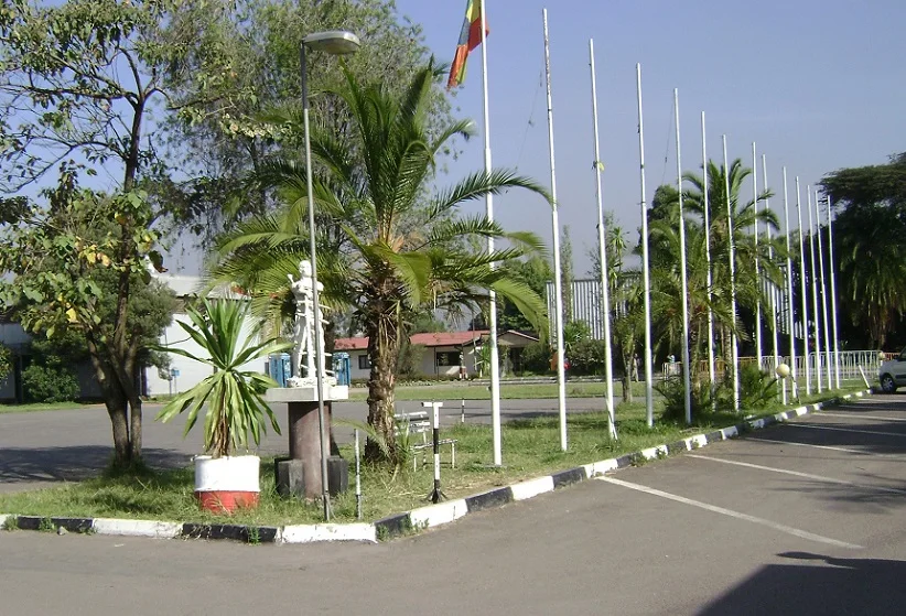 埃塞俄比亚亚的斯亚贝巴会展中心图片3