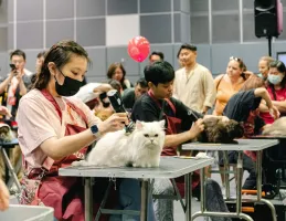 香港猫博会2025展位费与展位申请