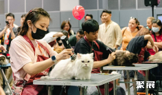 2025香港猫博会展位费与展位申请