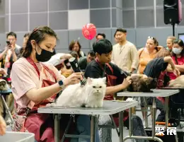 香港猫博会展会现场(现场盛况)6