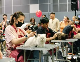 香港猫博会现场图片6