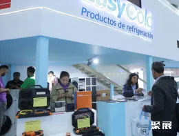 埃及制冷展现场图片8