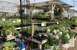 美国园艺展展会现场(现场盛况)6